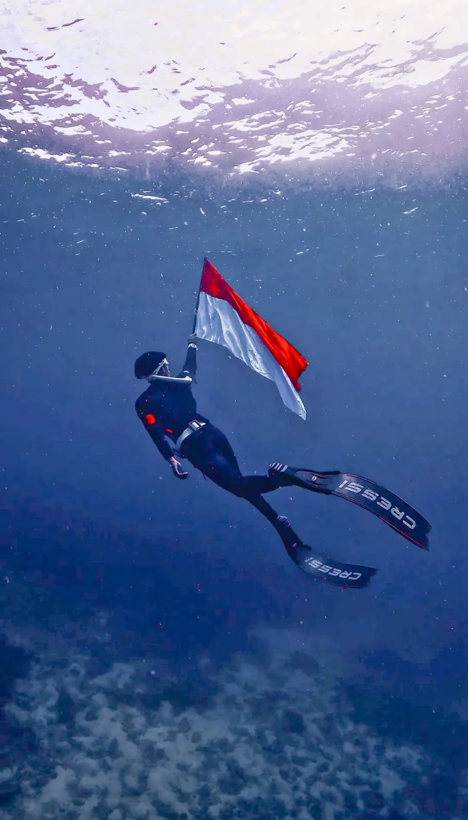 ONE DAY TRIP - Foto 2