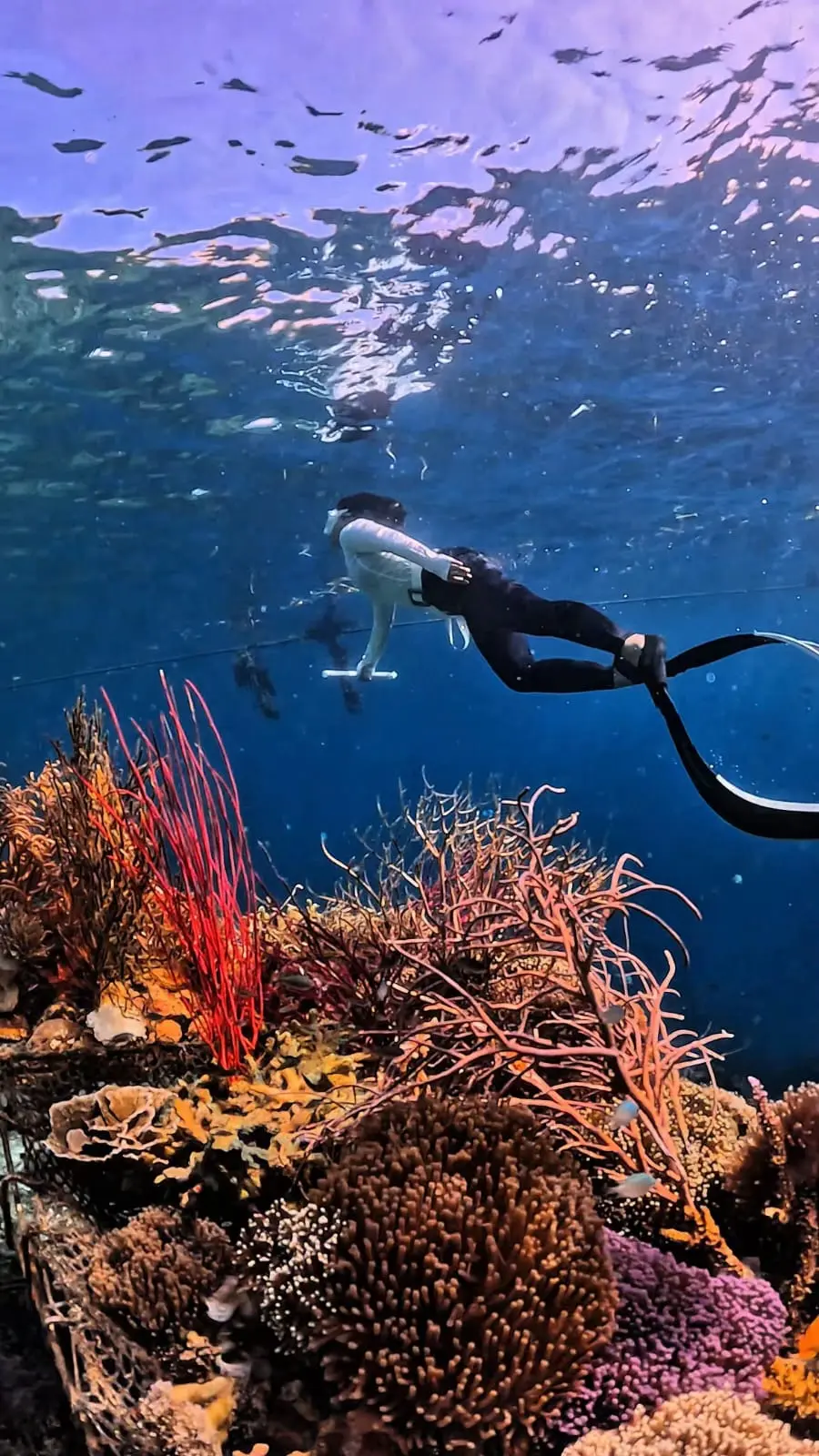 2 DAYS 1 NIGHT - Foto 3